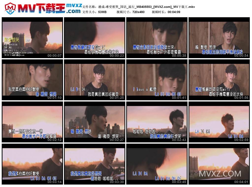 潘成-难受想哭_国语_流行_MB405553